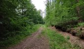 Tour Wandern Ferrières - Du Bois de ville au Bois de Xhoris - Photo 3