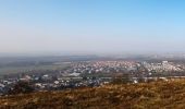 Tocht Te voet Bruchsal - Bruchsaler Kreuzweg und Grund - Photo 4