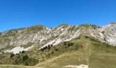 Trail Walking Saint-Pierre-de-Chartreuse - La Grande Sûre - Photo 3