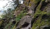 Excursión Senderismo Le Valtin - Col de la Schlucht - sentier des Roches - Petit Honneck - Honneck - Trois Fours - Photo 8