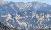 Tour Zu Fuß Gemeinde Spital am Semmering - Semmering - Sonnwendstein über Dürrgraben - Photo 8