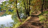 Trail On foot Schlaubetal - Gelber Wanderweg - Photo 4