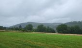 Trail Walking Vielsalm - Vielsalm 270625 - Photo 19