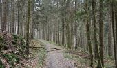 Tour Wandern Monschau - A la découverte de Rohren 🥾 - Photo 4
