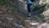 Trail Walking Flémalle - au roche flemalle  - Photo 7