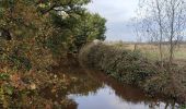 Tour Wandern Mechelen - Mechels Broek  - Photo 8