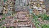 Trail Walking Soultzmatt - Rando Marcheurs ..20/03/2025.. - Photo 5