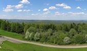 Randonnée A pied Gemünden am Main - Schwarzer Fuchs, Rundwanderweg Sinderbachtal - Photo 1