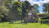 Tour Wandern Molsheim - Molsheim - Fort de Mutzig - Balade dans les vignes - Photo 4