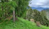 Tour Wandern La Combe-de-Lancey - Col du Pré du Molard - Photo 8