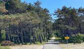 Randonnée A pied Terschelling - Sparrenlaan en Groene Pollen - Photo 7