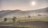 Tocht Te voet Vezzano sul Crostolo - Montalto - Monte Duro - Casa Cuccagna - Montalto - Photo 1