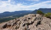 Trail Walking Dambach-la-Ville - Sommets et rochers - Photo 14