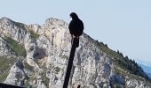 Trail Walking Lans-en-Vercors - les allieres, COL de l arc, et pic ST Michel - Photo 8