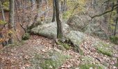 Trail On foot Oberthal - Rötelsteinpfad - Photo 5