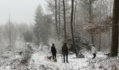 Randonnée Marche Libramont-Chevigny - Granvoir (Libramont) - Photo 4