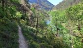 Randonnée Marche Massegros Causses Gorges - Au long du Tarn : Des Vignes à Mostuéjouls - Photo 17