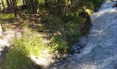 Tour Wandern Chamonix-Mont-Blanc - Cascade du Dard Glacier du Bosson - Photo 6