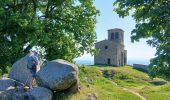 Trail Walking Saint-Laurent-d'Agny - 69-CHAPELLE_VINCENT_20km555m - Photo 4