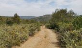 Tour Wandern Talairan - Chemin du facteur + Gourg - Photo 5