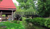 Tour Zu Fuß Lübben (Spreewald) - Rundwanderweg (Lübben-Steinkirchen) - Photo 3