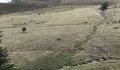 Tocht Stappen Loudervielle - Estives depuis Col de Peyressourdes - Photo 6