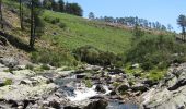 Randonnée A pied Ermelo e Pardelhas - Caminhos da Senhora da Graça: Ermelo - Senhora da Graça - Photo 6