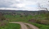 Tocht Mountainbike Magny-Vernois - magny, genevreuille - Photo 2