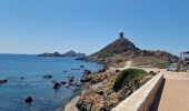 Randonnée Marche Ajaccio - Ajacio Hôtel Napoléon - Sanguinaires et chemin des douaniers - Photo 13