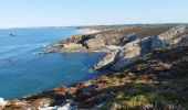 Tour Wandern Crozon - La randonnée du cap de la Chèvre  - Photo 1