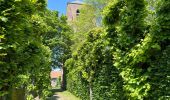 Trail Walking Sluis - Aardenburg 19 km - Photo 6