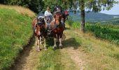 Percorso Equitazione Les Salles - la Plagne  - Photo 1