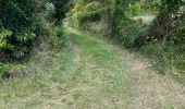 Tocht Noords wandelen Le Robert - Les boucles de pointe Banane -LE ROBERT - Photo 1