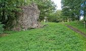 Randonnée Marche Fréteval - Fréteval - Etang Champs Bois Donjon - Photo 13