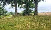 Trail Walking Hamoir - Filot 220725 - Photo 13