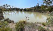 Trail Walking Fréjus - Depuis la Louve en boucle - Photo 16