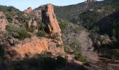 Tour Wandern Saint-Raphaël - Pk Col de Belle Barbe - Col des Suvières - Suvières - Col des 3 Termes - Photo 11