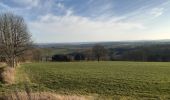 Trail Walking Theux - theux . hodbomont . grand pierreux . jevoumont . franchimont . theux  - Photo 2