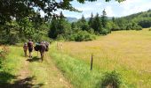 Excursión Senderismo Vassieux-en-Vercors - Vassieux en Vercors- La Chapelle en Vercors- Rando Âne (2 et 3 ème jour) -  - Photo 3