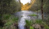 Randonnée A pied Willebadessen - Rundwanderweg 