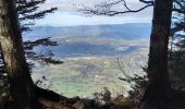 Trail Walking Le Bourget-du-Lac - Le Molard du mont du Chat - Photo 12