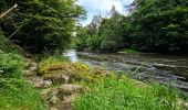 Tour Wandern Florenville - Le Point de vue la Bohanan - Chassepierre - Photo 3