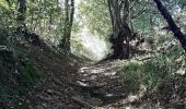 Tocht Stappen Gargilesse-Dampierre - La chaumerette pont des piles - Photo 6