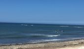 Tocht Stappen Saint-Denis-d'Oléron - Les Huttes  - Photo 12