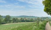 Tour Wandern Gerpinnes - Tournibus - Photo 1