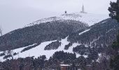 Tocht Sneeuwschoenen Beaumont-du-Ventoux - raquettes Mont Serein - Photo 3