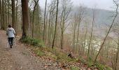 Trail Walking Bouillon - Toer Laviot - Photo 13