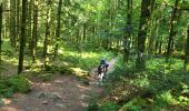 Trail Walking Le Tholy - cascades tendon - Photo 3