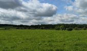 Tour Wandern Durbuy - GR57 : BOMAL to MELREUX - Photo 3