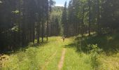 Tour Wandern Hohwald - Par les sommets autour du Hohwald - Photo 19